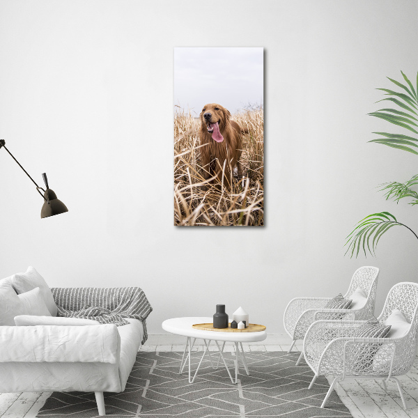 Foto leinwand vertikales Golden Retriever