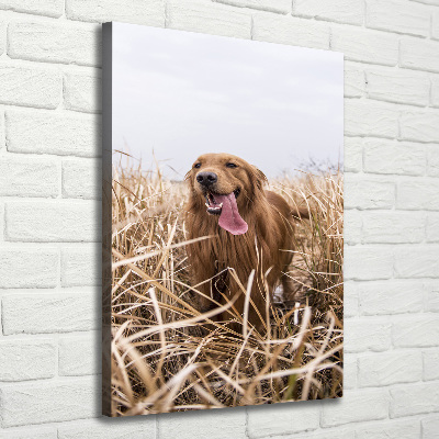 Foto leinwand vertikales Golden Retriever