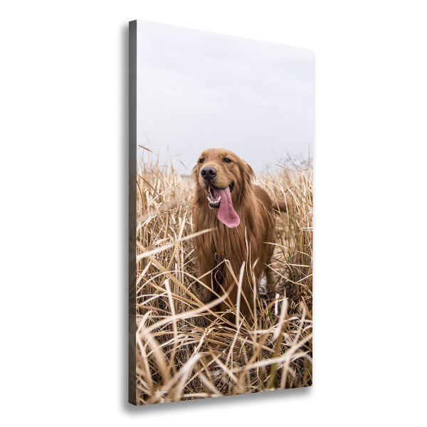 Foto leinwand vertikales Golden Retriever