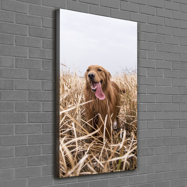 Foto leinwand vertikales Golden Retriever
