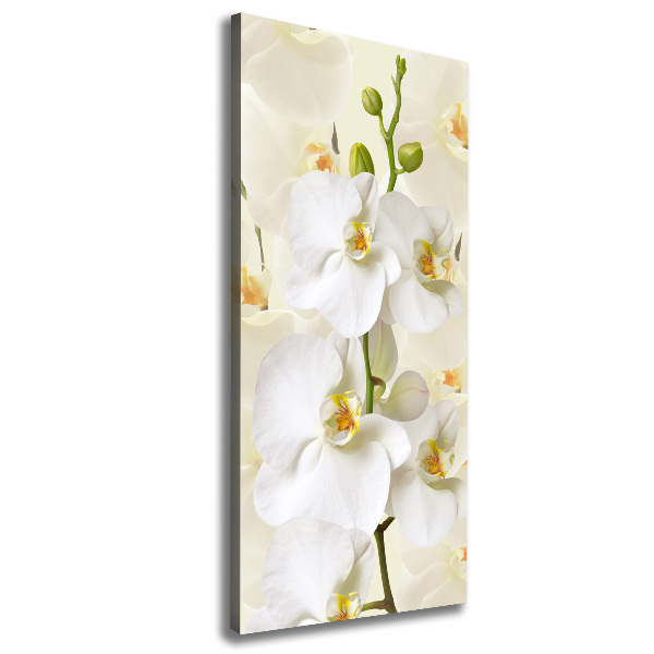 Wandbild vertikales Weiße Orchidee