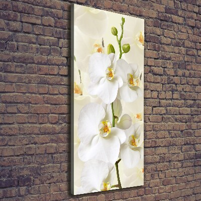 Wandbild vertikales Weiße Orchidee