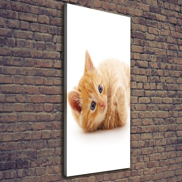 Foto leinwand vertikales Kleine rote Katze