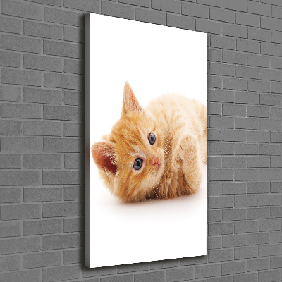 Foto leinwand vertikales Kleine rote Katze
