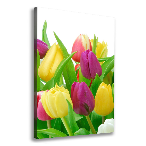 Wandbild vertikales Bunte Tulpen
