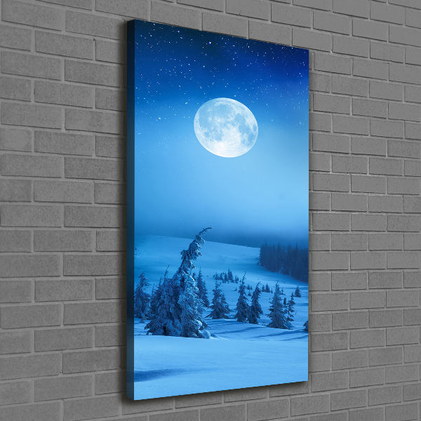 Foto auf leinwand vertikales Vollmond