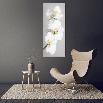Foto auf leinwand vertikales Weiße Orchidee