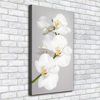 Foto auf leinwand vertikales Weiße Orchidee