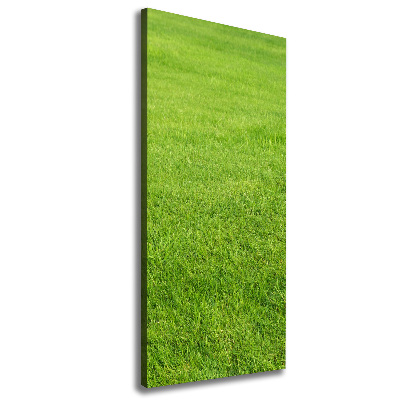Foto auf leinwand vertikales Grünes Gras