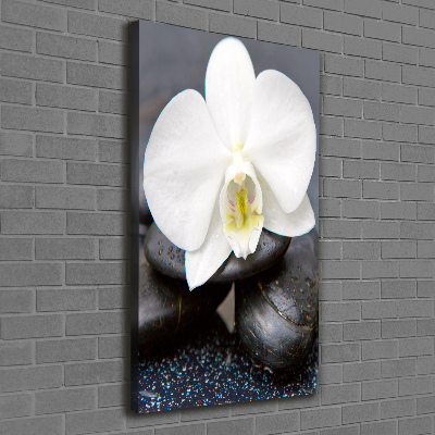 Foto leinwand vertikales Orchidee und Steine