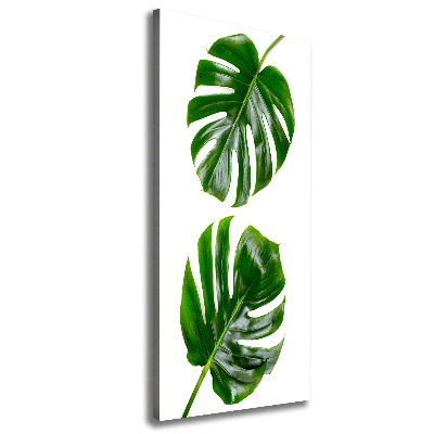 Wandbild vertikales Monstera