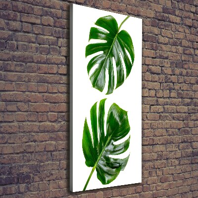Wandbild vertikales Monstera