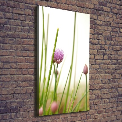 Foto leinwand vertikales Schnittlauchblüte