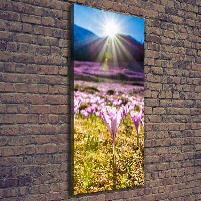 Foto auf leinwand vertikales Krokusse in den Bergen