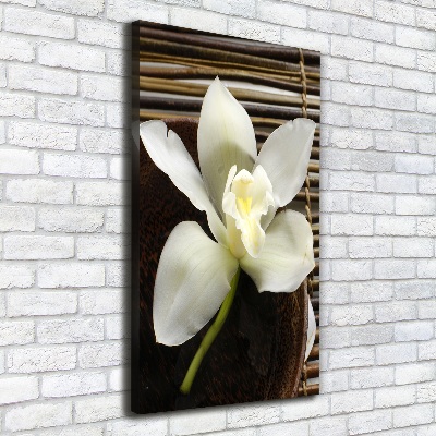 Foto auf leinwand vertikales Orchidee