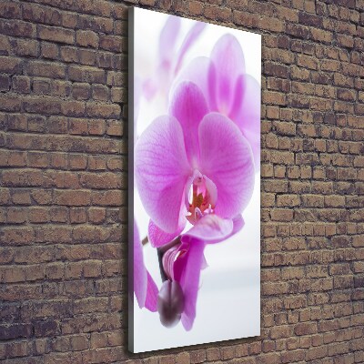 Foto auf leinwand vertikales Rosa Orchidee