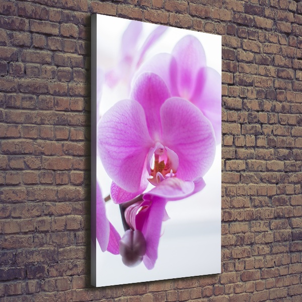 Foto auf leinwand vertikales Rosa Orchidee