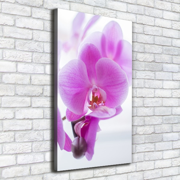 Foto auf leinwand vertikales Rosa Orchidee