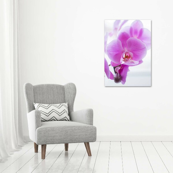 Foto auf leinwand vertikales Rosa Orchidee