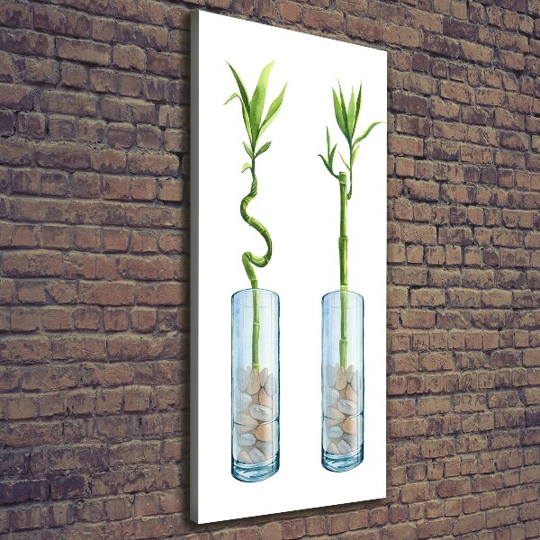 Foto leinwand vertikales Bambus im Topf