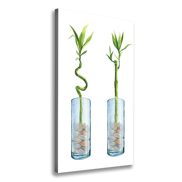 Foto leinwand vertikales Bambus im Topf