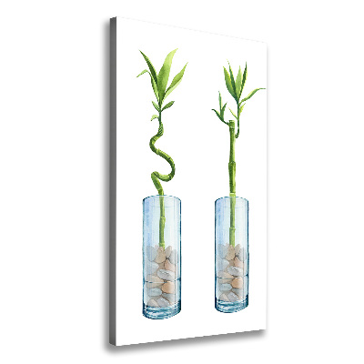 Foto leinwand vertikales Bambus im Topf