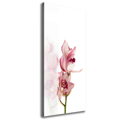 Foto leinwand vertikales Rosa Orchidee