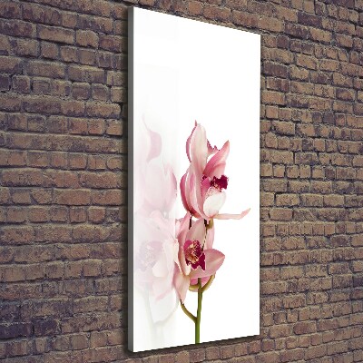 Foto leinwand vertikales Rosa Orchidee