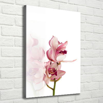 Foto leinwand vertikales Rosa Orchidee