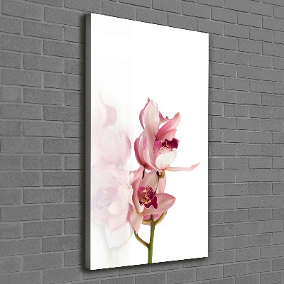 Foto leinwand vertikales Rosa Orchidee