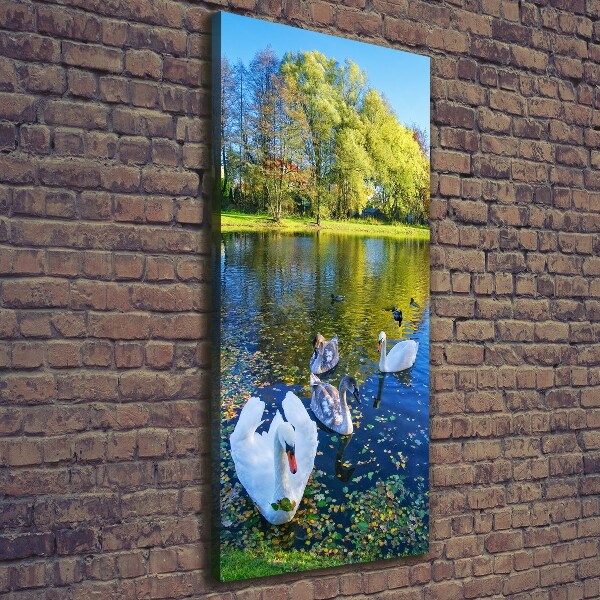 Foto auf leinwand vertikales Schwäne auf dem Teich