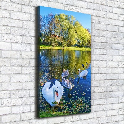 Foto auf leinwand vertikales Schwäne auf dem Teich