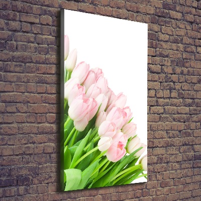 Foto auf leinwand vertikales Rosa Tulpen