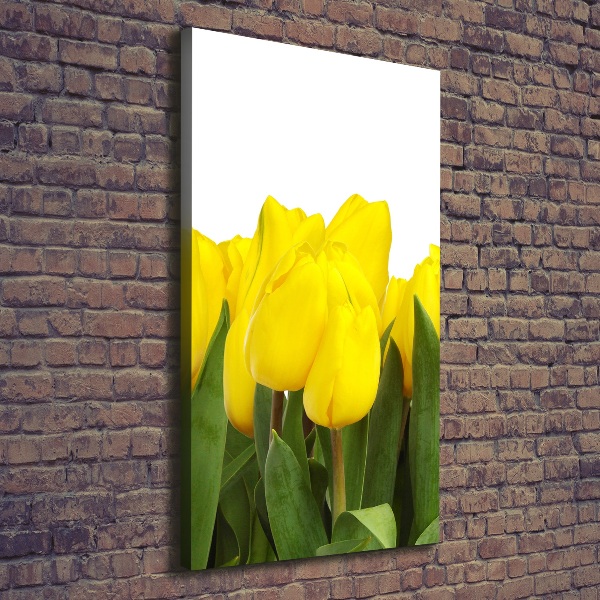 Foto auf leinwand vertikales Gelbe Tulpen