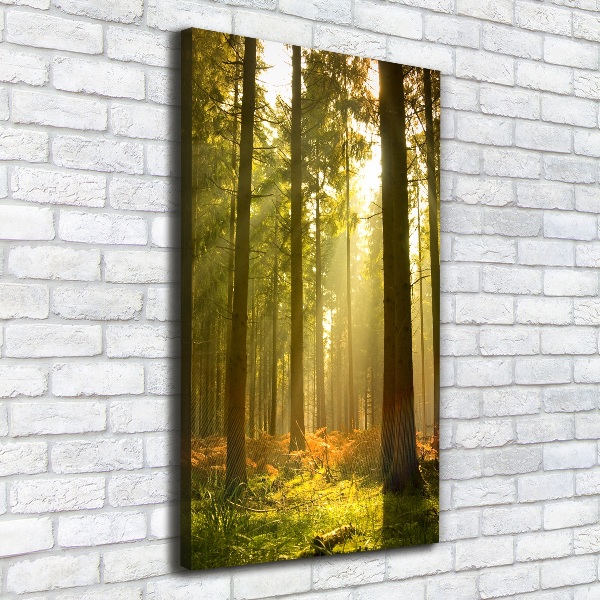 Foto leinwand vertikales Wunderschöner Wald