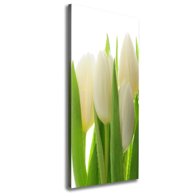 Wandbild vertikales Weiße Tulpen