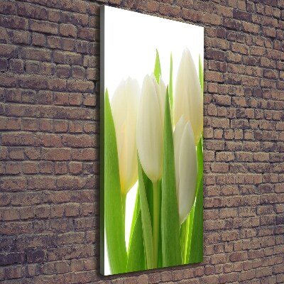 Wandbild vertikales Weiße Tulpen