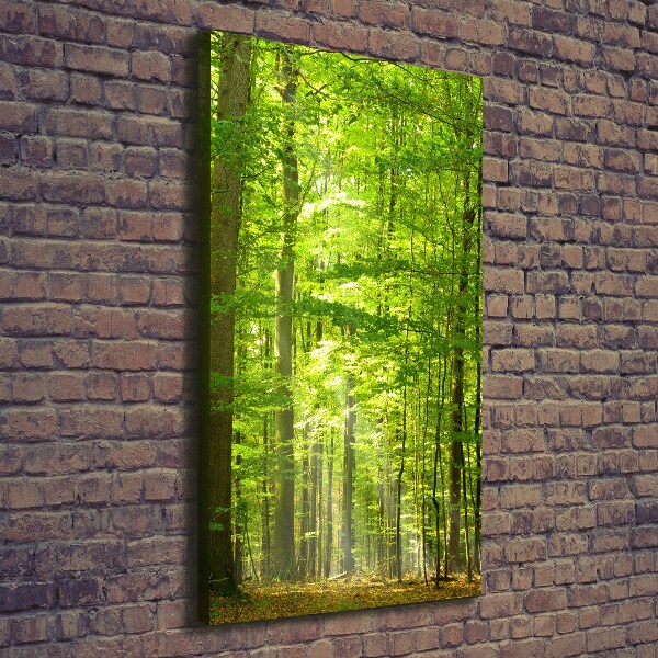 Foto auf leinwand vertikales Buchenwald