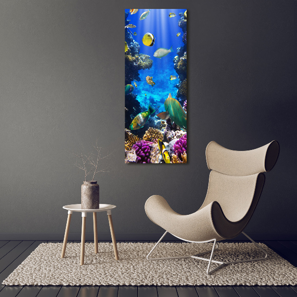 Foto leinwand vertikales Korallenriff