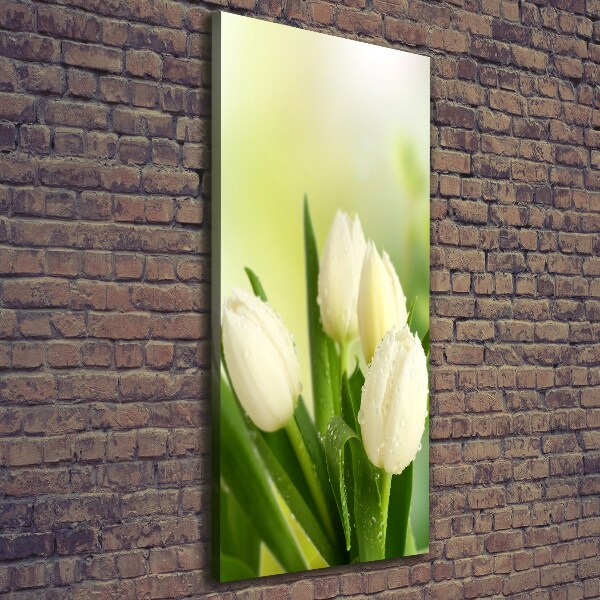 Foto auf leinwand vertikales Weiße Tulpen