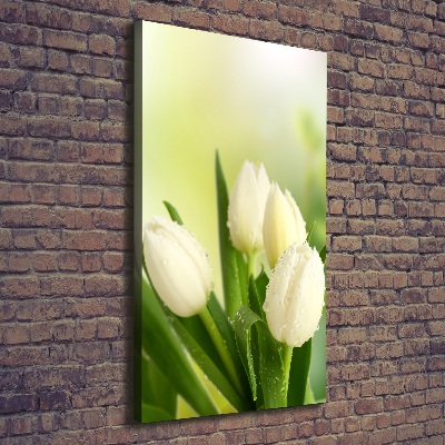 Foto auf leinwand vertikales Weiße Tulpen