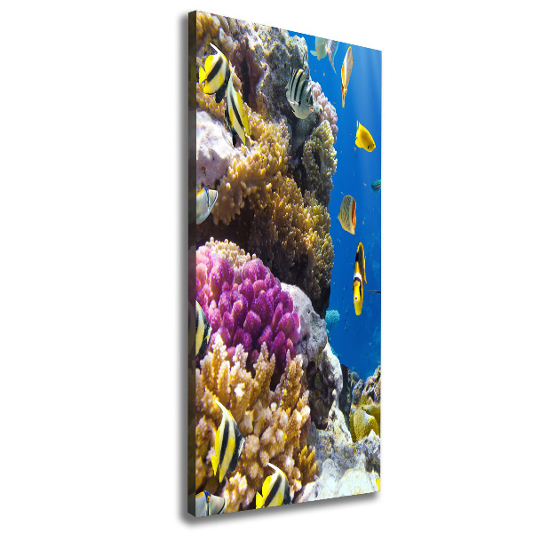 Foto leinwand vertikales Korallenriff
