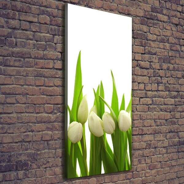 Foto leinwand vertikales Weiße Tulpen