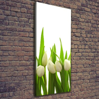 Foto leinwand vertikales Weiße Tulpen