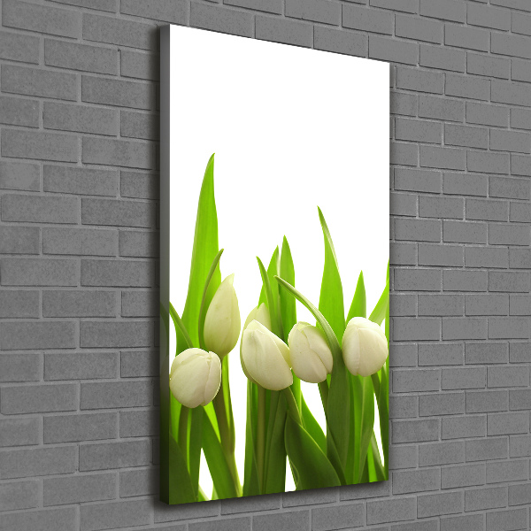 Foto leinwand vertikales Weiße Tulpen