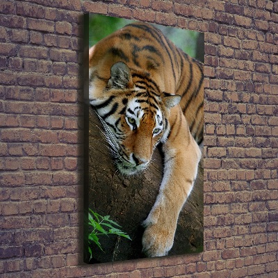 Foto auf leinwand vertikales Tiger auf einem Baum