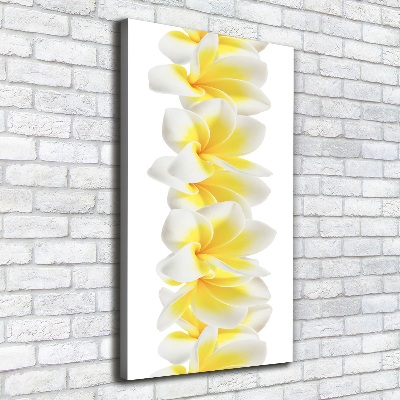 Foto leinwand vertikales Plumeria