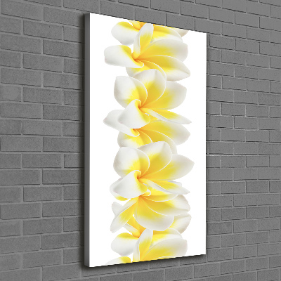 Foto leinwand vertikales Plumeria