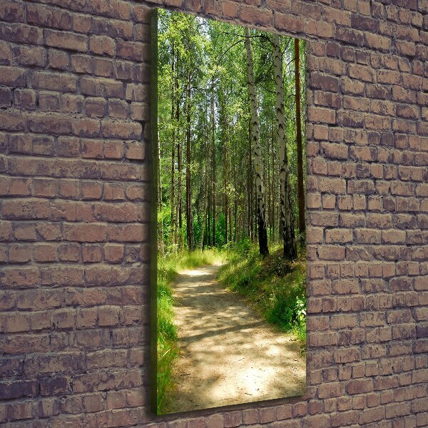 Foto leinwand vertikales Birkenwald
