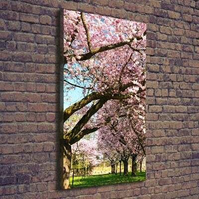 Foto leinwand vertikales Kirschbäume